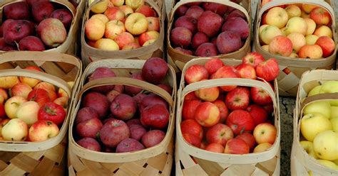 Hendersonville gears up for NC Apple Festival