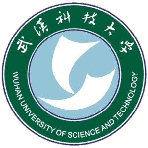 Wuhan University of Science and Technology [Rankings 2024]