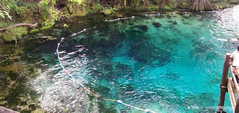 Fanning Springs Travel Guide 2026: Top Attractions, Things to Do ...