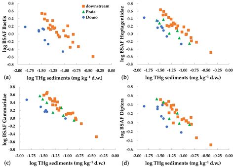Mercury Bioaccumulation in Benthic Invertebrates: From Riverine ...