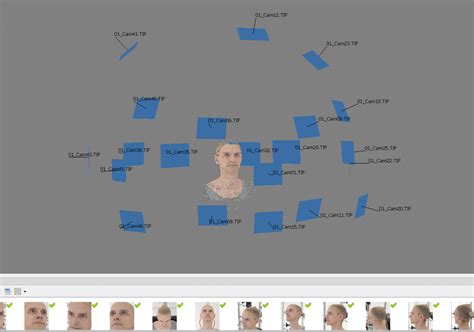 Image result for Run Out Alignment with Camera