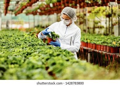 Biotechnology 的图像结果