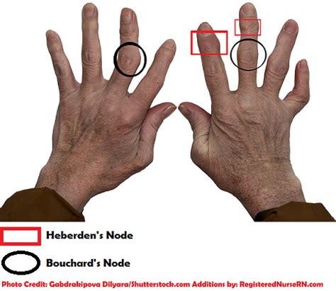 Image result for Embedded Systems Applications Examples