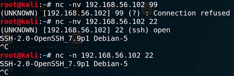 How to Use Netcat Reverse Shell 的图像结果