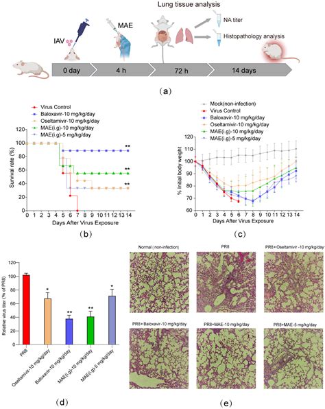 Inhibition Effects and Mechanisms of Marine Compound Mycophenolic Acid ...