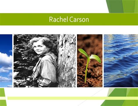 rachel-carsons-powerpoint-updated-ppt.pptx