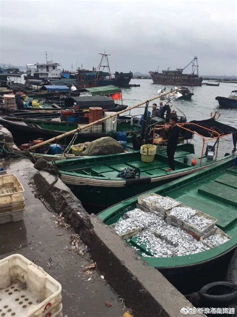 实拍三亚涯州中心渔港繁忙的早市__凤凰网