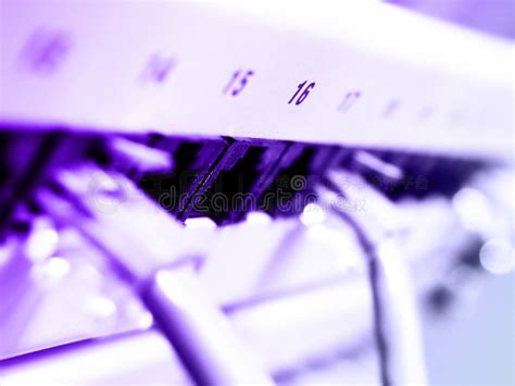 局域网 的图像结果