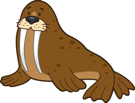 Walrus Face Clip Art