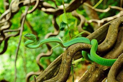 10 Bizarre National Parks In Thailand You Must Visit