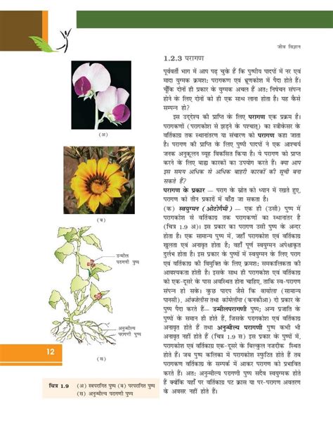 Bio Class 12 Up Board Chapter 1 的图像结果