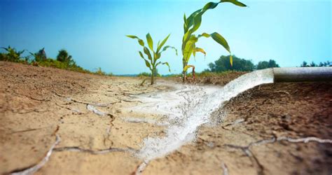 Delhi to lose groundwater level by 2020, a study | Skymet Weather Services