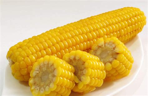 联创825玉米的品种介绍 —【发财农业网】