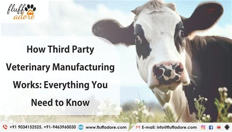 How Third Party Veterinary Manufacturing Works: Everything You Need to ...