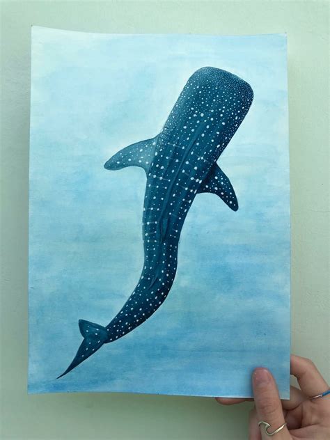 How To Paint A Whale Shark at Charlene Ortega blog