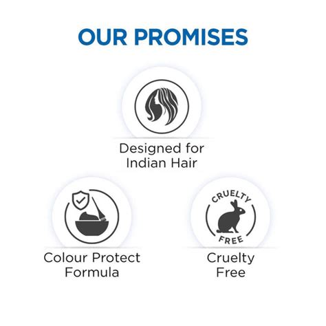 Bblunt Anti-Dandruff Shampoo For Healthy Scalp -300 ml – BBlunt