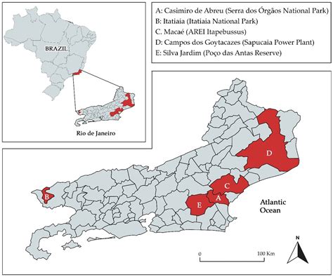 Genetic Characterization and Zoonotic Potential of Leptospira ...