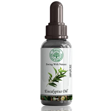 Maruti Natural Fragrances Eucalyptus Oil, Therapeutic Grade, Perfect ...