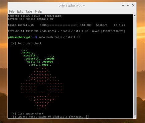 Pi Hole Setup Tutorial 的图像结果