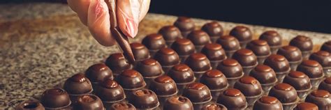 Image result for Fun Taste Tech