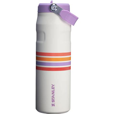 Stanley IceFlow Aerolight Flip Straw 24 oz Water Bottle | Academy