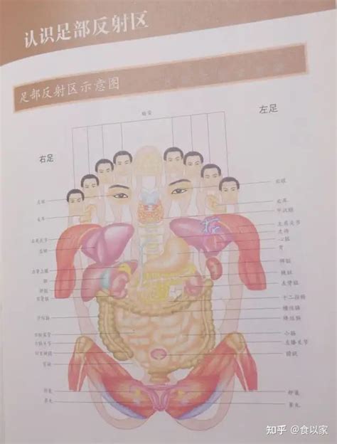 身体该如何养？：[1]养生究竟养什么？-百度经验