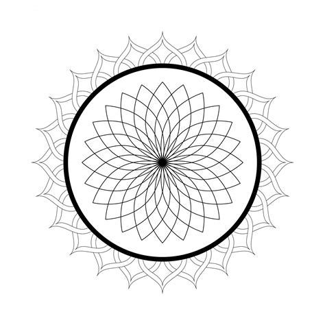 Image result for WP Spring Code