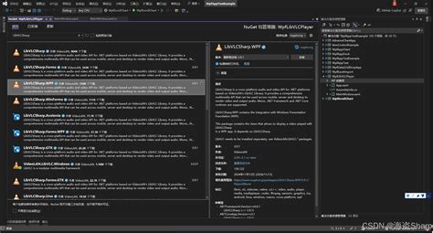 VLC Library 的图像结果