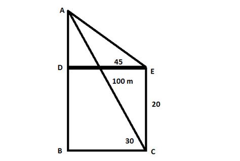 a boy observes that the Angle of elevation of a bird flying at a ...
