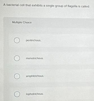 Solved: A bacterial cell that exhibits a single group of flagella is ...