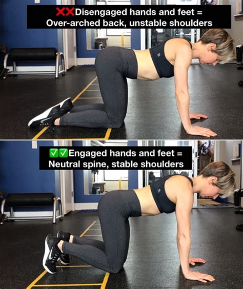 Core Stability Exercises 的图像结果