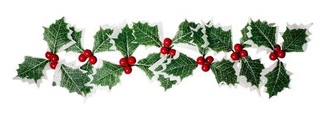 Premium Photo | Christmas holly berry leaves isolated on white or ...