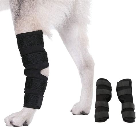 ZEACCT 1 Pair Dog Leg Braces, Front and Rear Knee Pads for Pets ...