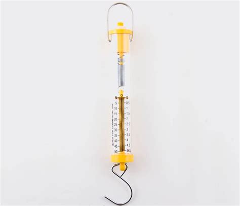 Spring Scale 的图像结果