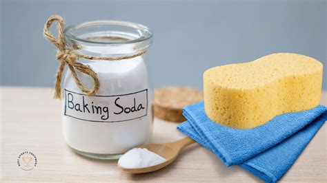 What Are The Baseball Position Numbers? And Who Uses Them?