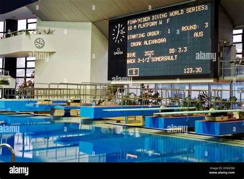 Image result for College Springboard Diving Competitions