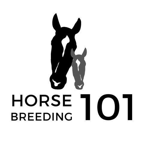 Horse Breeding Basics - Horse Breeding 101