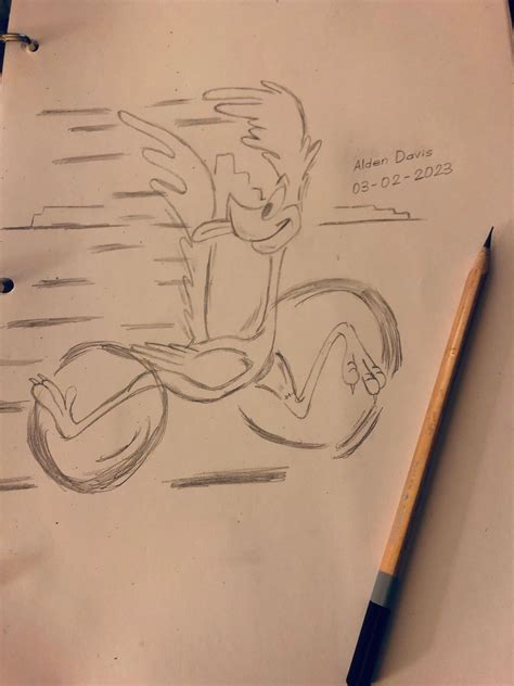 Road Runner Cartoon Drawing 的图像结果