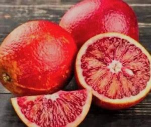 SHYAM Thai Red Juicy Malta bari Mosambi Lemon sweet &Testy Fruit Tree ...