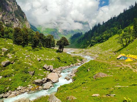 Top 10 National Parks You Must Visit in India | Walk In The Wild