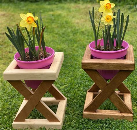 Daffodils in X-Shaped Wooden Flower Pot