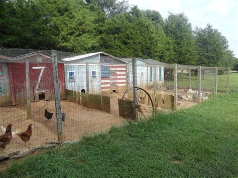 Chicken Condos.com 的图像结果