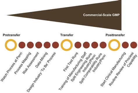 Cell Therapy Process 的图像结果