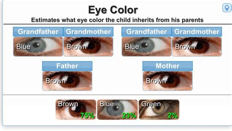 Eye Color Chart Genetics 的图像结果