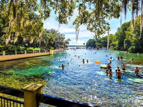 Visit These Top 10 Ocala Florida Attractions • Central Florida • The ...
