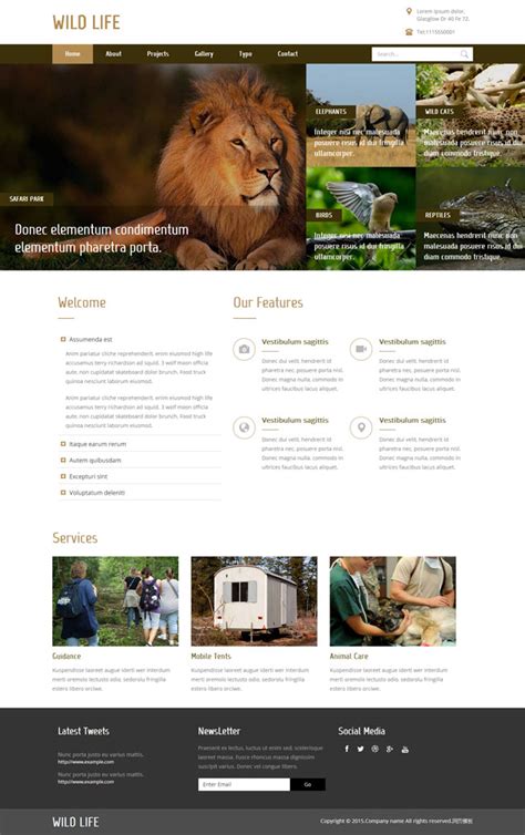 狮子动物园管理网站模板_站长素材