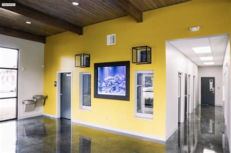 Gill Bright Animal Hospital - Keiland Construction