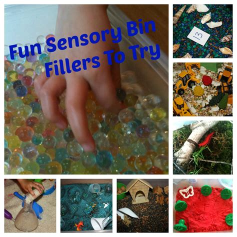 Making Sensory Bin Fillers at Kai Chuter blog
