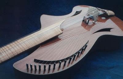Image result for Unusual String Instruments