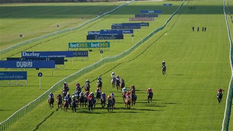 Saturday tips: Manxman tipped to land Cesarewitch Handicap gold at ...